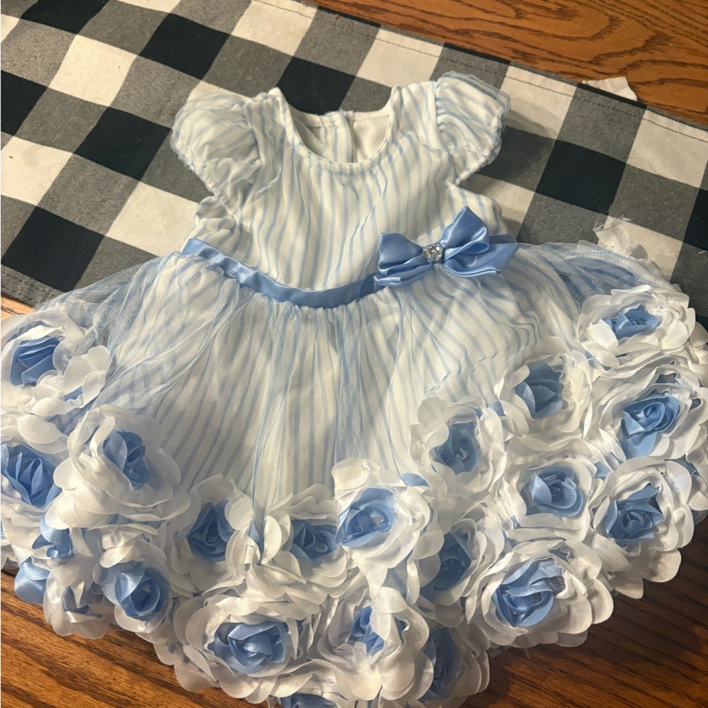 Nanette Baby Light Blue & White Floral Rosette Tulle Dress